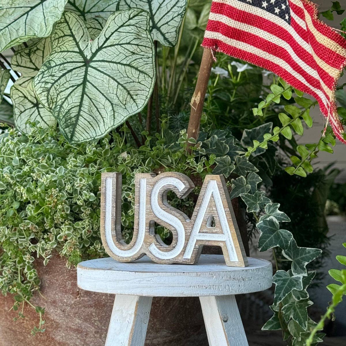 USA Carved Word Decor