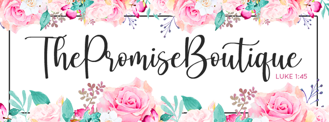 The Promise Boutique Logo | The Promise Boutique, 1290 E. Ireland Road Suite 500W, South Bend IN 46614